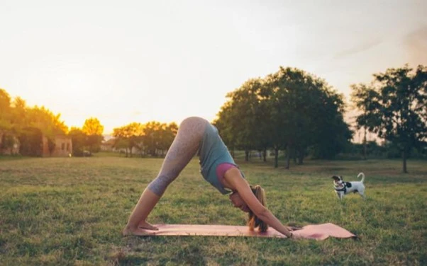 Exercise Regularly